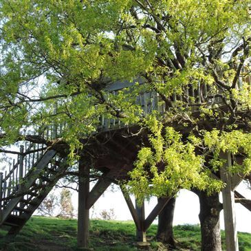 Cabane dans les Arbres près des Sables-d'Olonne