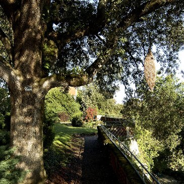 Week End Bien-être dans un Château à Cognac