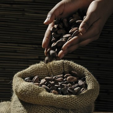 Dégustation autour du Chocolat à Savigny-sur-Orge