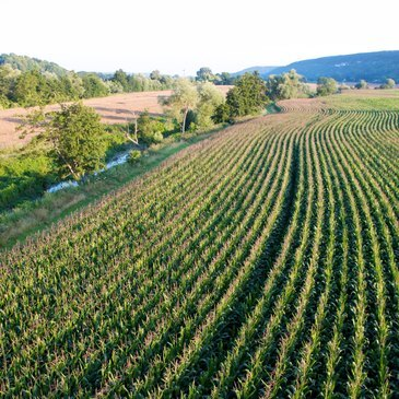 Vol en Montgolfière à Giverny