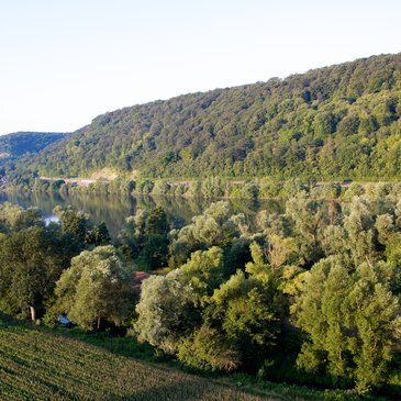 Vol en Montgolfière à Giverny