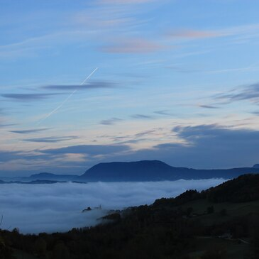 Cabane dans les Arbres près de Grenoble