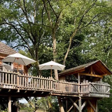 Nuit en Cabane Perchée avec Spa près de Bergerac