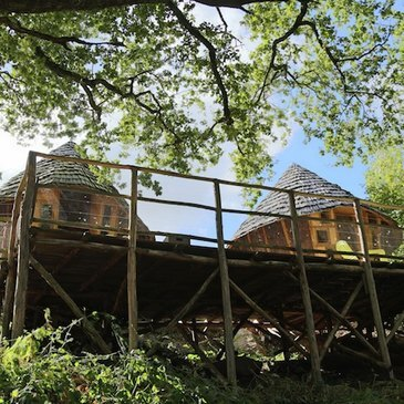 Nuit en Cabane près du Puy du Fou