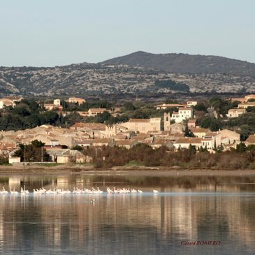 Baptême en Hélicoptère près de Narbonne