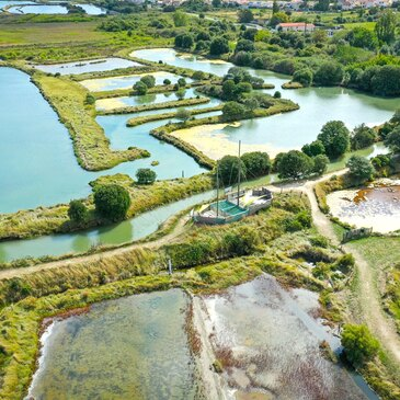 Baptême en Hélicoptère aux Sables-d'Olonne