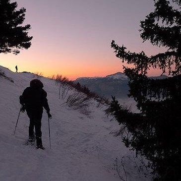 Randonnée en Raquette dans les Vosges