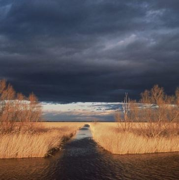 Randonnée Safari en 4x4 en Camargue près d'Arles