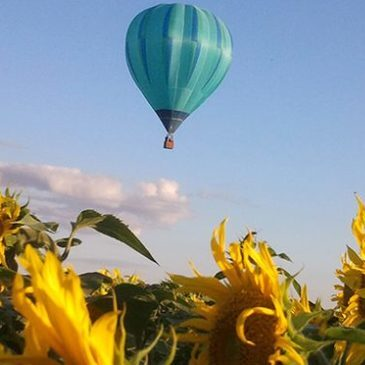 Vol en Montgolfière à Sens - La Vallée de l'Yonne