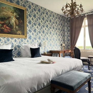 Week-end Les Châteaux de la Loire en Avion