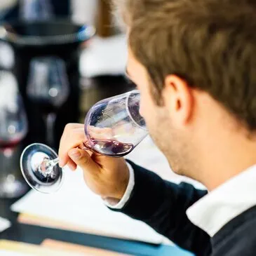 Initiation à l'Œnologie à Lille Hippodrome