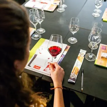 Initiation à l'Œnologie à Lille Hippodrome