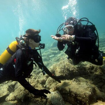 Baptême de Plongée au Cap Cerbère près de Banyuls-sur-Mer