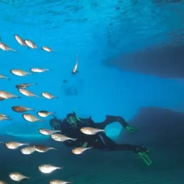 Baptême de Plongée au Cap Cerbère près de Banyuls-sur-Mer