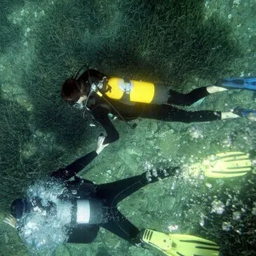 Baptême de Plongée au Cap Cerbère près de Banyuls-sur-Mer