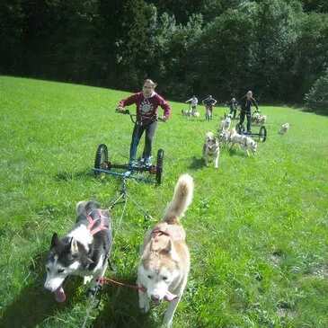 Conduite d'un Attelage de Chiens de Traîneau près de Grenoble
