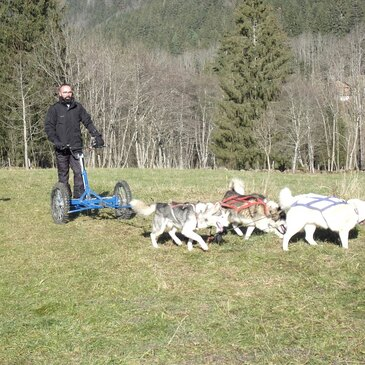 Conduite d'un Attelage de Chiens de Traîneau près de Grenoble