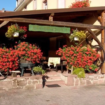 Week-End Gourmand près de Colmar