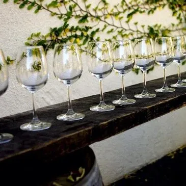 Initiation à l'Œnologie dans un Château près de Nantes