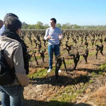 Initiation à l'Œnologie dans un Château près de Nantes