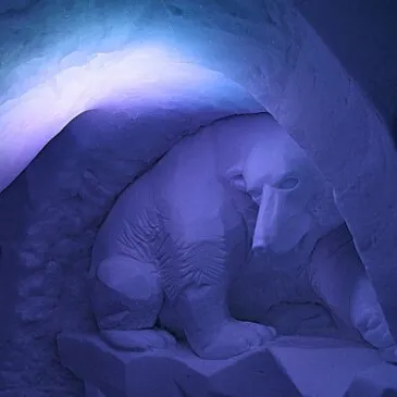 Soirée et Nuit en Igloo à Val Thorens