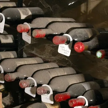 Atelier Dégustation de Vin au Restaurant de Georges Blanc