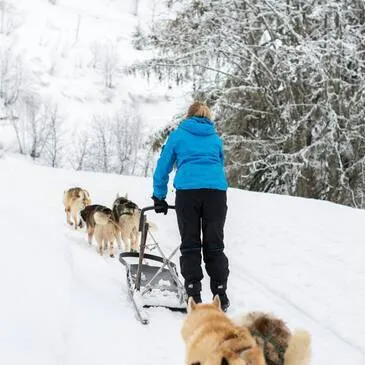 Conduite d'un Attelage de Chiens de Traîneau à Avoriaz
