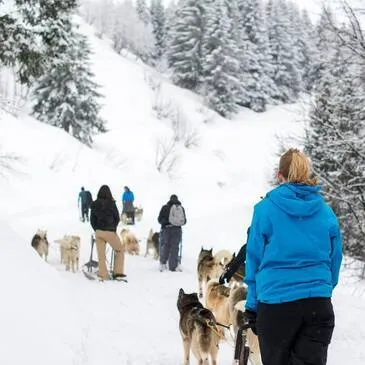Conduite d'un Attelage de Chiens de Traîneau à Avoriaz
