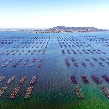 Baptême en Hélicoptère à Agde