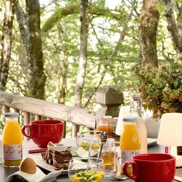 Cabane dans les Arbres avec Spa près de Brive-la-Gaillarde