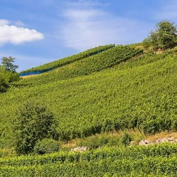 Week-End Spa à Riquewihr