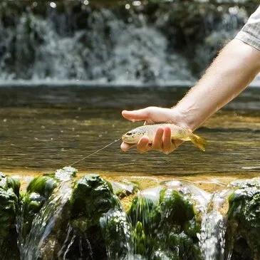 Stage de Pêche Sportive dans le Jura