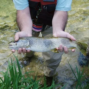 Stage de Pêche Sportive dans le Jura