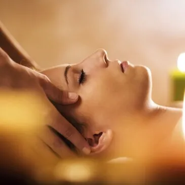 Œnotourisme près de Bordeaux