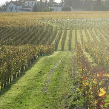 Œnotourisme près de Bordeaux