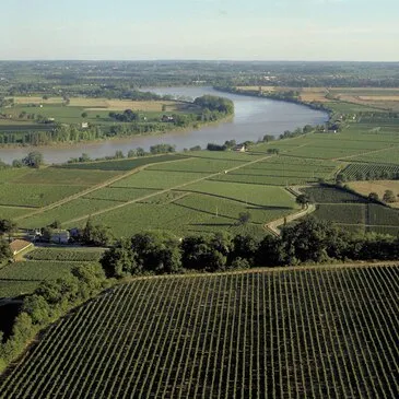 Œnotourisme près de Bordeaux