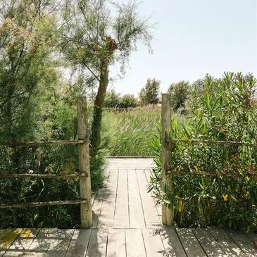 Week-end Gourmand et Balade à Cheval en Camargue