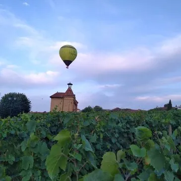 Survol de la Dombes en Montgolfière