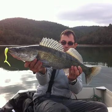 Pêche aux Carnassiers sur le Lac de Saint-Cassien