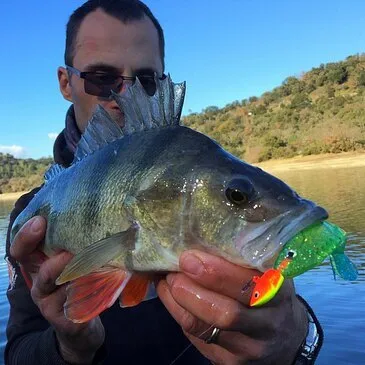 Pêche aux Carnassiers sur le Lac de Saint-Cassien