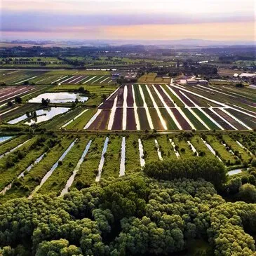 Vol en Montgolfière à Arras