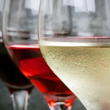 Initiation à l'Œnologie à Orléans