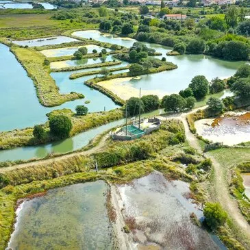 Baptême en Hélicoptère près de La Roche-sur-Yon