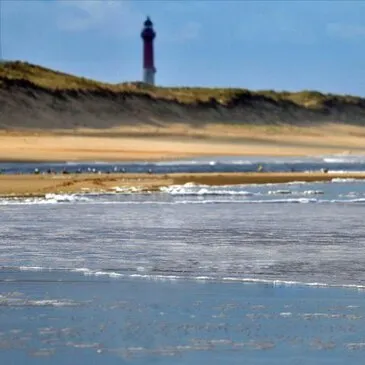 Initiation au Surf à La Palmyre près de Royan