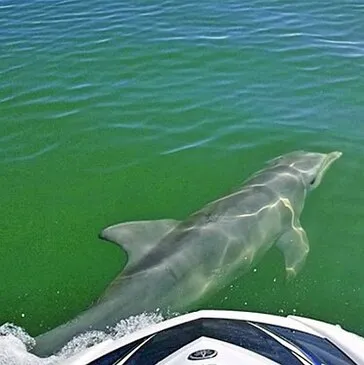 Randonnée en Jet Ski à Préfailles