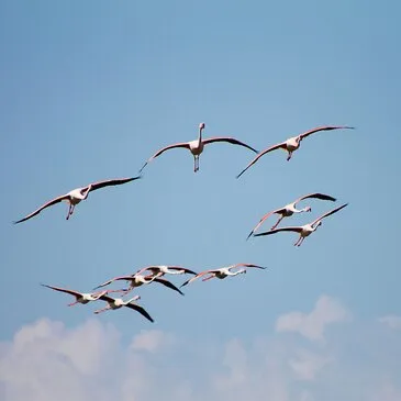 Baptême en ULM Multiaxe à Montpellier