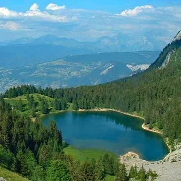 Initiation au Pilotage d'Hélicoptère près d'Annecy