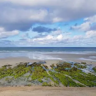 Initiation au Surf à Penhors près de Quimper