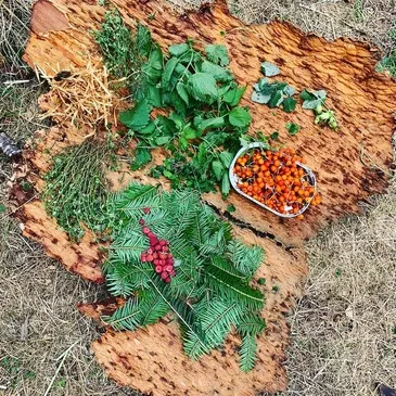 Stage de Survie près de Saint-Etienne