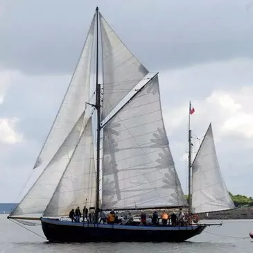 Sortie en Voilier Historique - Golfe du Morbihan et Île d'Houat